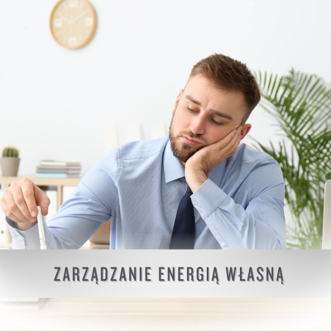 zarządzenie energią własną